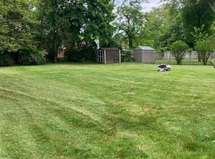 Ken S.'s Lawn Care service result