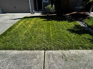 Andrew D.'s Yard Cutting service result