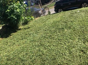 Kenneth M.'s Lawn Mowing service result