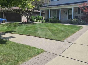Jai A.'s Lawn Service service result