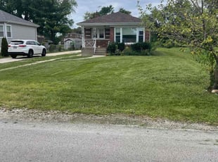 Phil D.'s Lawn Mowing service result