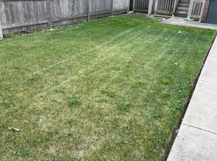 Dawn J.'s Lawn Mowing service result