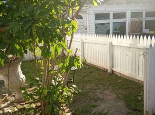 Bush Trimming by Hollis Carter for Gillian G. in New Orleans, LA