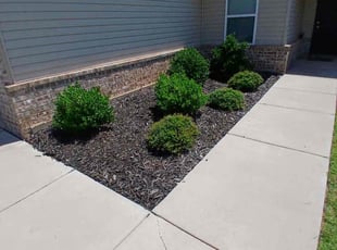 Weeding by Lance Holtman for Emily N. in Oklahoma City, OK