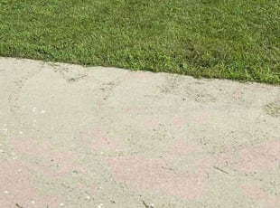 Nathan G.'s Yard Cutting service result