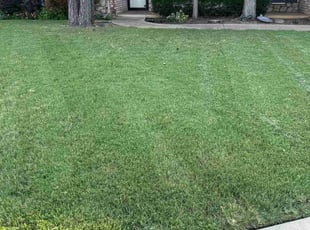 Lisa G.'s Lawn Care service result