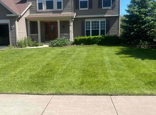 Cleanups by Jose Sanchez for Michael B. in North Aurora, IL