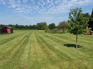 Billy j.'s Lawn Mowing service result
