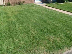 Michael S.'s Lawn Service service result