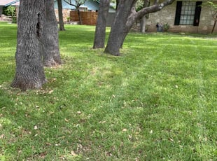 Janai J.'s Lawn Care service result