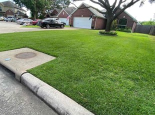 April H.'s Grass Cutting service result