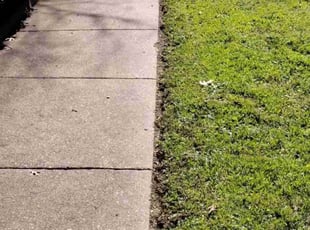 Hugh C.'s Lawn Mowing service result