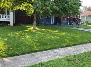 Alicia S.'s Lawn Mowing service result