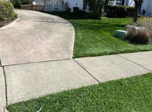 Alwyn D.'s Lawn Mowing service result