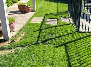 Andre D.'s Lawn Mowing service result