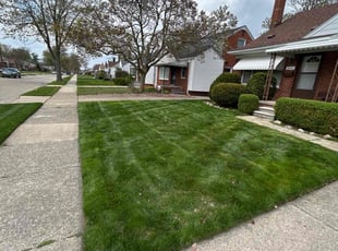 Ruth L.'s Yard Cutting service result