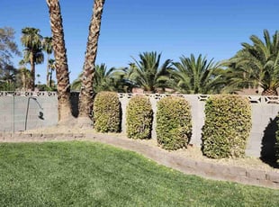 LARRY R.'s Grass Cutting service result