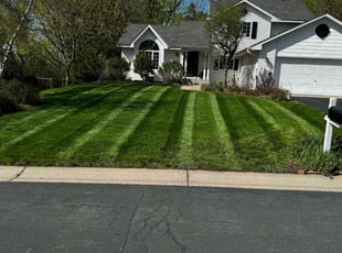 Carlos M.'s Lawn Maintenance service result