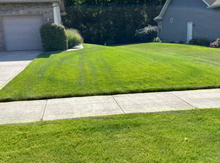 Mozelle C.'s Lawn Care service result