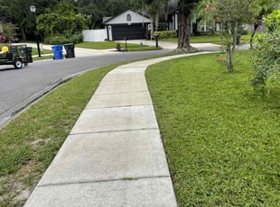 Darryl J.'s Lawn Service service result