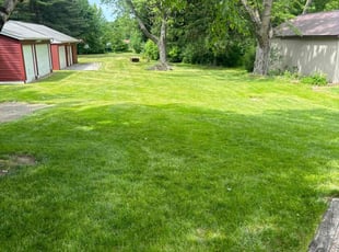 Victor L.'s Lawn Mowing service result