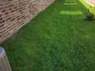 Christopher W.'s Lawn Mowing Service service result
