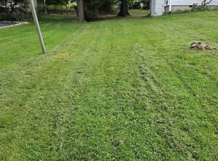 Sherri E.'s Grass Cutting service result
