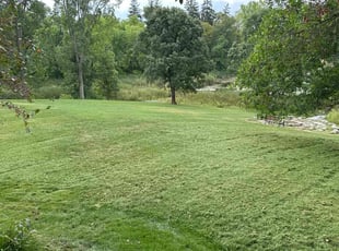 Celeste N.'s Lawn Mowing Service service result