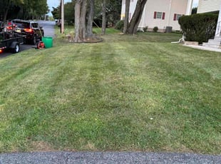 Leland H.'s Lawn Service service result