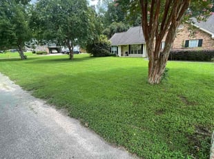 Angel P.'s Lawn Mowing service result