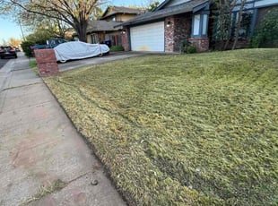 Michael D.'s Lawn Mowing service result