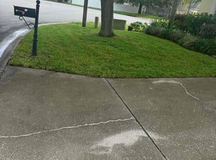 Richard C.'s Lawn Mowing service result