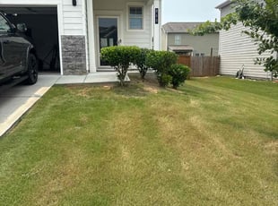 Bush Trimming by Howard Collier for Raymond B. in McDonough, GA