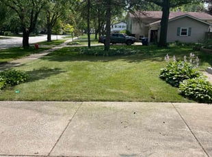 Norlyza A.'s Lawn Care service result