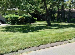 Duncan S.'s Lawn Service service result
