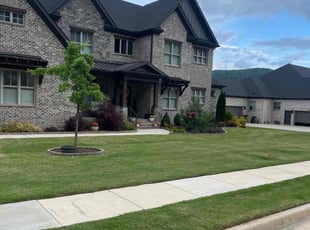 Sean N.'s Grass Cutting service result