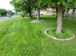 Gerber E.'s Lawn Mowing Service service result