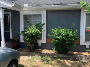 Bush Trimming by Hector Mieles for Greg and Gena S. in Winter Park, FL