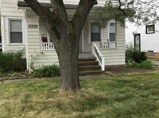 Weeding by B. Villu Womack for Johnny T. in Cleveland Heights, OH
