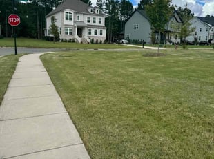 James J.'s Lawn Service service result