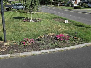 Lorraine A.'s Lawn Mowing service result
