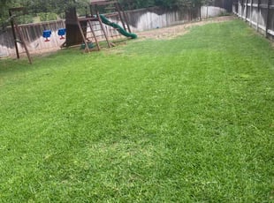 Gene G.'s Grass Cutting service result