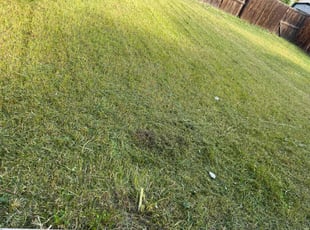Cleanups by Isaiah Guidry for Grace C. in Aurora, CO