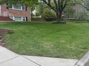 Tim J.'s Lawn Care service result