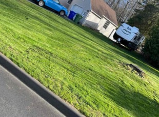Beverly C.'s Lawn Care service result