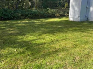 Debra L.'s Lawn Care service result
