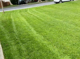 Pat J.'s Lawn Maintenance service result