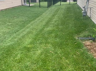 Marian D.'s Lawn Service service result