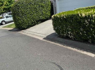 Weeding by Kurian Jones-Fryberg for Robert B. in Snohomish, WA