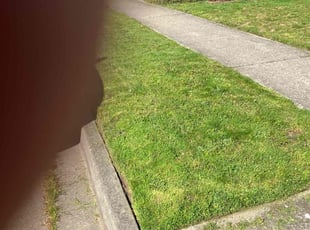 Gary & Eva D.'s Lawn Mowing service result